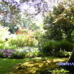 DIGITAL CAMERA