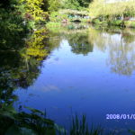 DIGITAL CAMERA