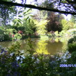 DIGITAL CAMERA